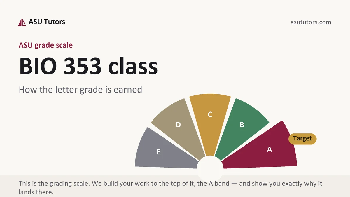 BIO 353 class grading scale at ASU, how the work is graded, from ASU Tutors